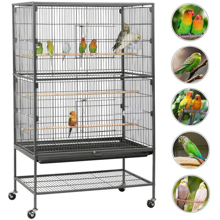 Bird Cage Setup