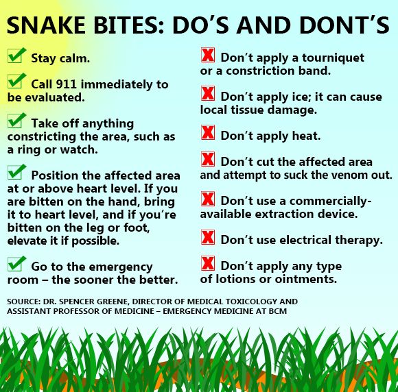 Snake Bite First Aid